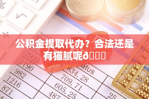 阜平公积金提取代办？合法还是有猫腻呢😏