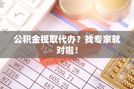 阜平公积金提取代办？找专家就对啦！