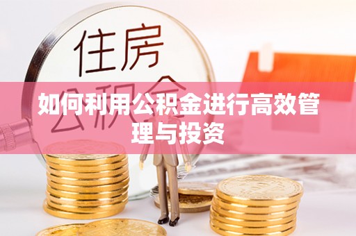 阜平如何利用公积金进行高效管理与投资